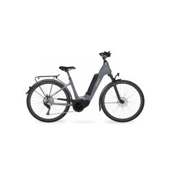 E-bike Velo de Ville Carbon F46" Stone Basalt glans
